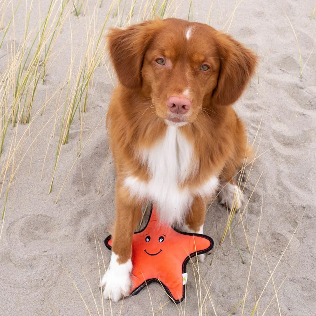 Beco Sindy The Starfish Eco Friendly Rough And Tough Plush Dog Toy