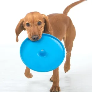 Dog Puppy Fetch Training Toy Flying Disc Frisbee Pet - Assorted Colours