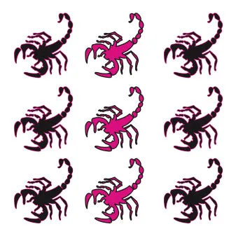 Scorpion