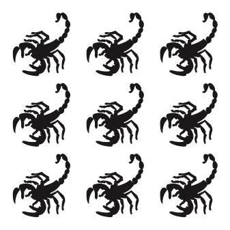 Scorpion